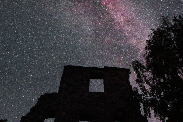 Celestial Swan Soars Over Castle Ruins in Amazing Photo
